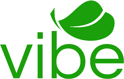 Vibe Srl